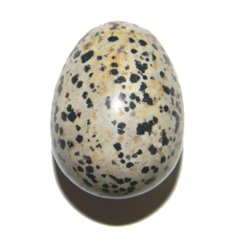 Dalmaatsiakivist muna