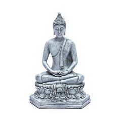 Mediteeriv Buddha, Tai